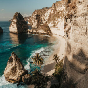 Jozani forest tour Zanzibar